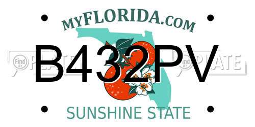 B432PV Florida License Plate
