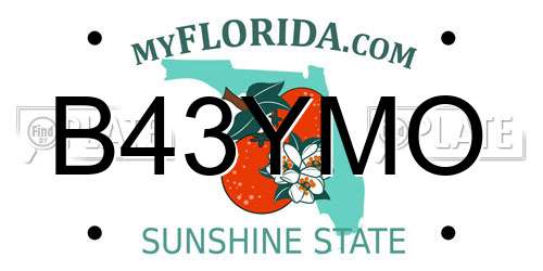 B43YMO Florida License Plate