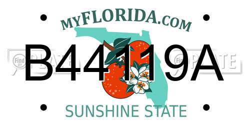 B44119A Florida License Plate