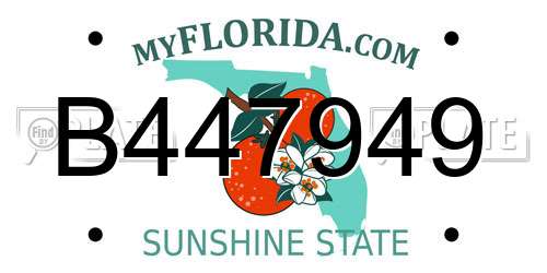 B447949 Florida License Plate