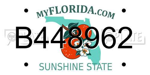 B448962 Florida License Plate