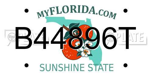 B44896T Florida License Plate