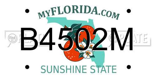 B4502M Florida License Plate