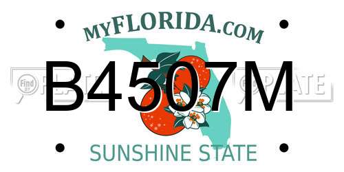 B4507M Florida License Plate