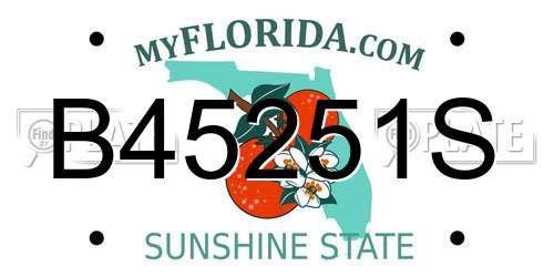 B45251S Florida License Plate