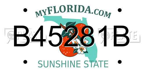 B45281B Florida License Plate