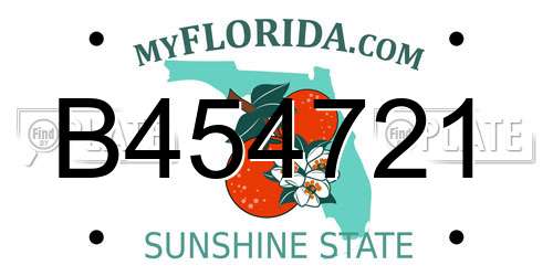 B454721 Florida License Plate