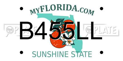 B455LL Florida License Plate
