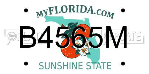 B4565M Florida License Plate