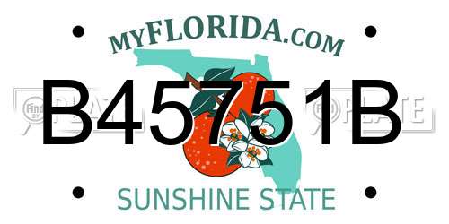 B45751B Florida License Plate