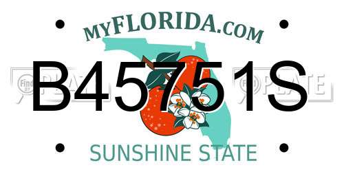 B45751S Florida License Plate