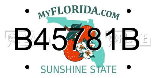 B45781B Florida License Plate