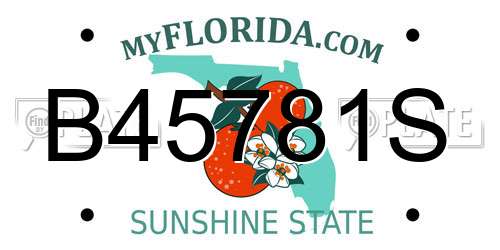 B45781S Florida License Plate