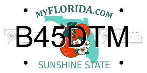 B45DTM Florida License Plate