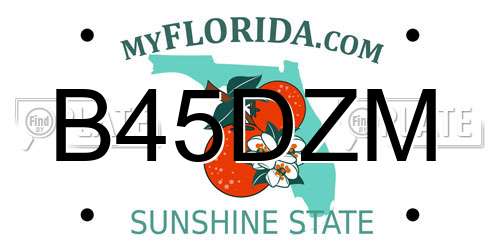 B45DZM Florida License Plate