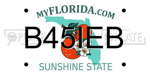B45IEB Florida License Plate