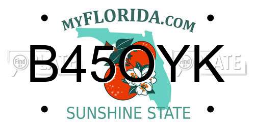 B45OYK Florida License Plate