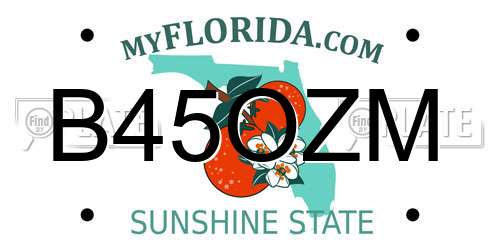 B45OZM Florida License Plate