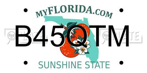B45QTM Florida License Plate