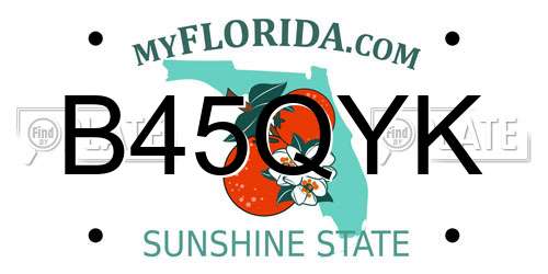 B45QYK Florida License Plate
