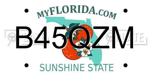 B45QZM Florida License Plate