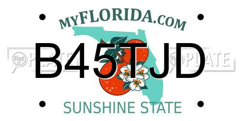 B45TJD Florida License Plate