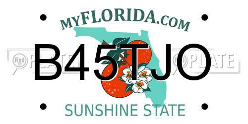 B45TJO Florida License Plate