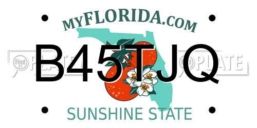 B45TJQ Florida License Plate