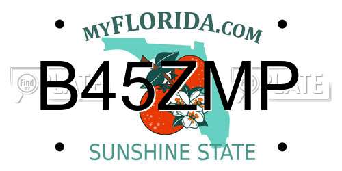 B45ZMP Florida License Plate