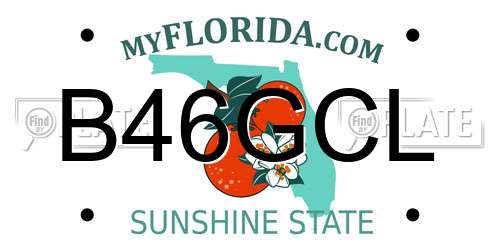 B46GCL Florida License Plate