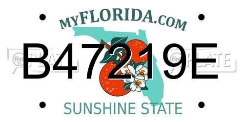 B47219E Florida License Plate