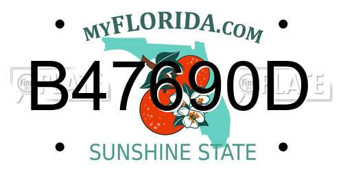 B47690D Florida License Plate