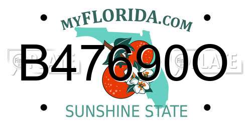 B47690O Florida License Plate