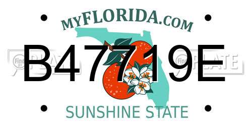 B47719E Florida License Plate