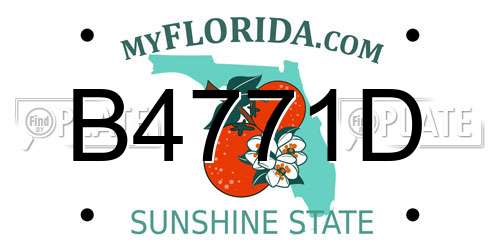 B4771D Florida License Plate
