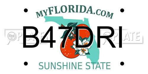 B47DRI Florida License Plate