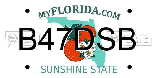 B47DSB Florida License Plate
