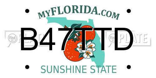 B47TTD Florida License Plate