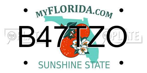 B47TZO Florida License Plate