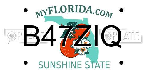 B47ZIQ Florida License Plate