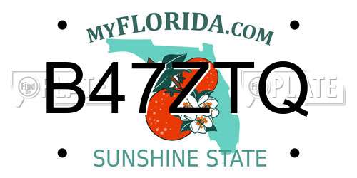 B47ZTQ Florida License Plate