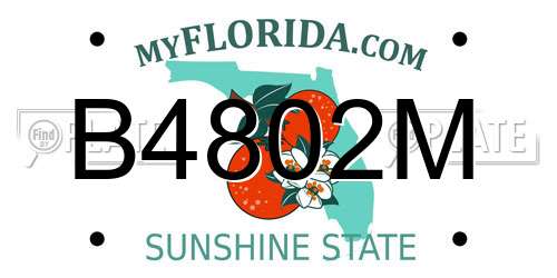 B4802M Florida License Plate