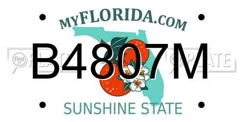 B4807M Florida License Plate