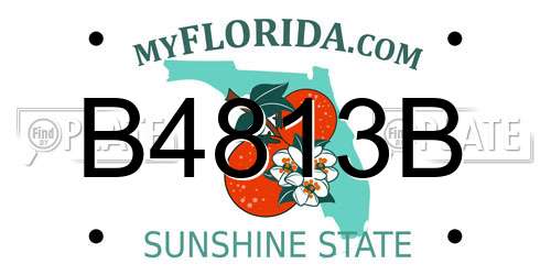 B4813B Florida License Plate
