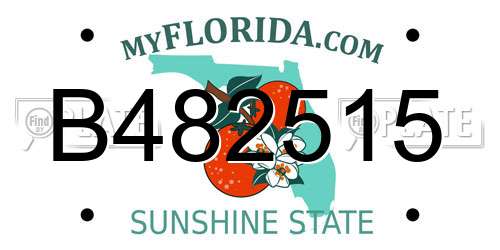 B482515 Florida License Plate
