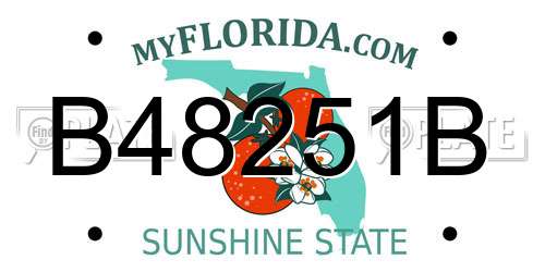 B48251B Florida License Plate