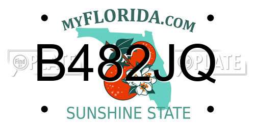 B482JQ Florida License Plate