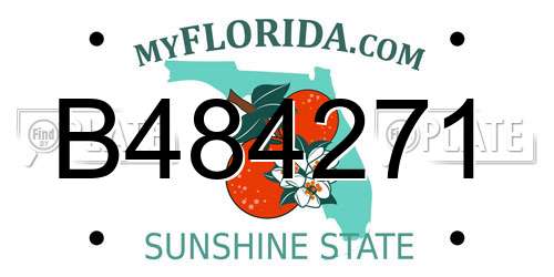B484271 Florida License Plate