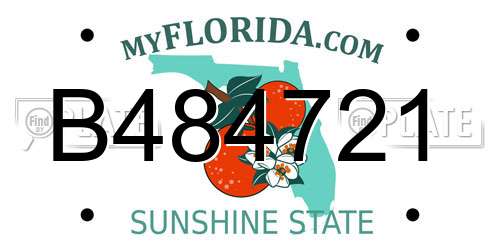 B484721 Florida License Plate