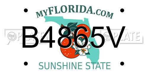 B4865V Florida License Plate